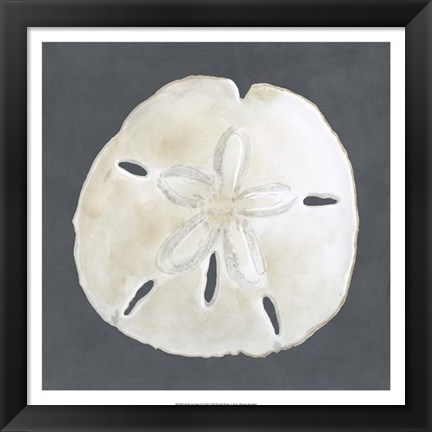 Framed Shell on Slate II Print