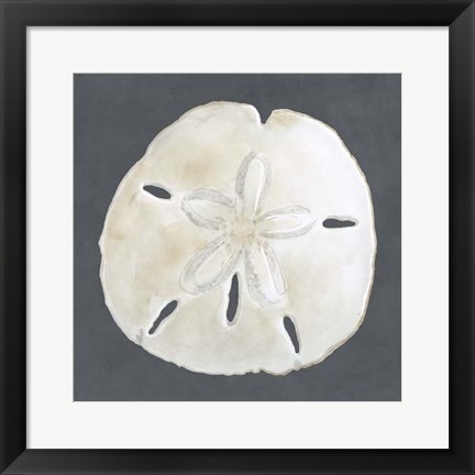 Framed Shell on Slate II Print