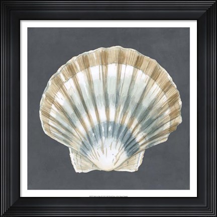 Framed Shell on Slate III Print