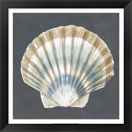 Framed Shell on Slate III Print