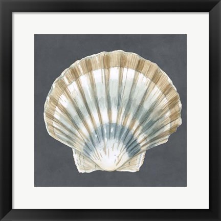 Framed Shell on Slate III Print