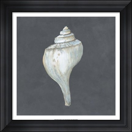 Framed Shell on Slate IV Print