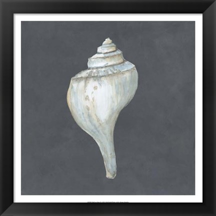 Framed Shell on Slate IV Print