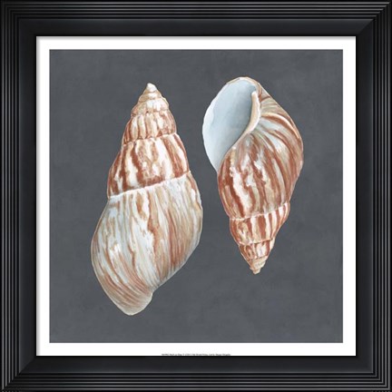 Framed Shell on Slate V Print