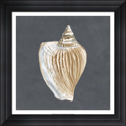 Framed Shell on Slate VI Print