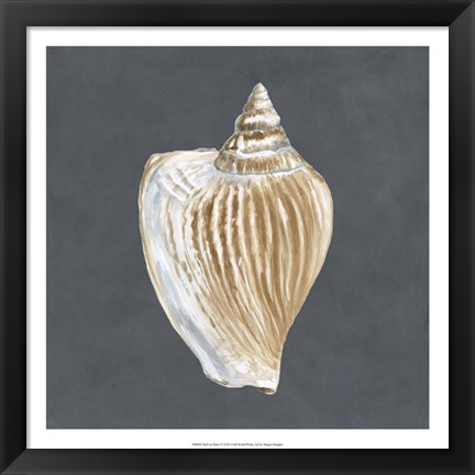 Framed Shell on Slate VI Print
