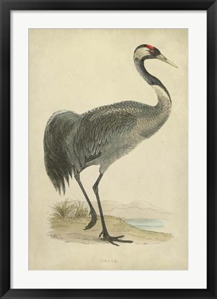 Framed Morris Crane I Print
