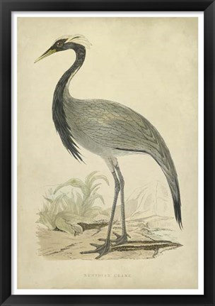 Framed Morris Crane II Print