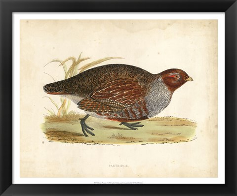 Framed Morris Pheasants I Print