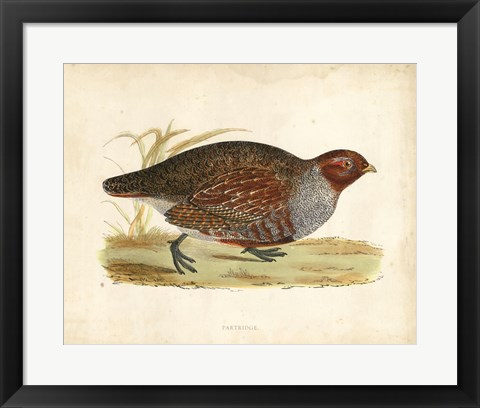 Framed Morris Pheasants I Print