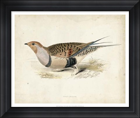 Framed Morris Pheasants V Print