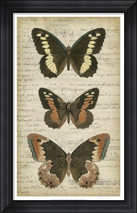 Framed Butterfly Script I Print