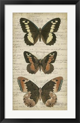 Framed Butterfly Script I Print