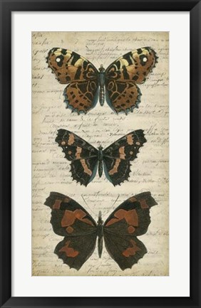 Framed Butterfly Script II Print