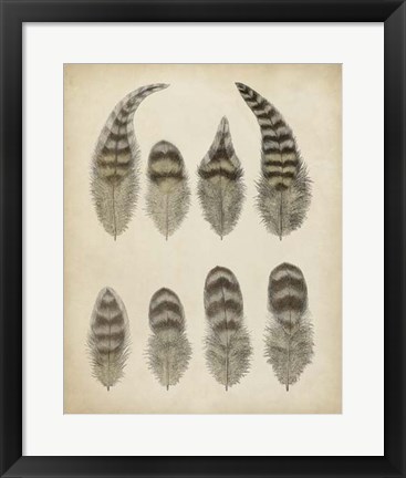 Framed Vintage Feathers I Print