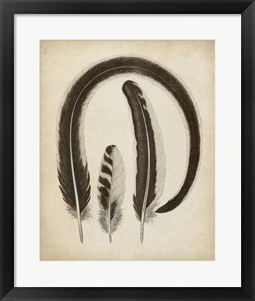 Framed Vintage Feathers III Print