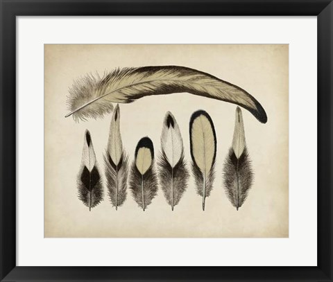 Framed Vintage Feathers VII Print