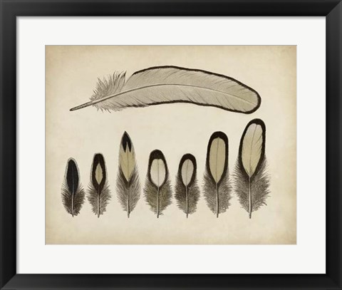 Framed Vintage Feathers IX Print