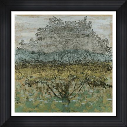 Framed Arbor Shadow I Print