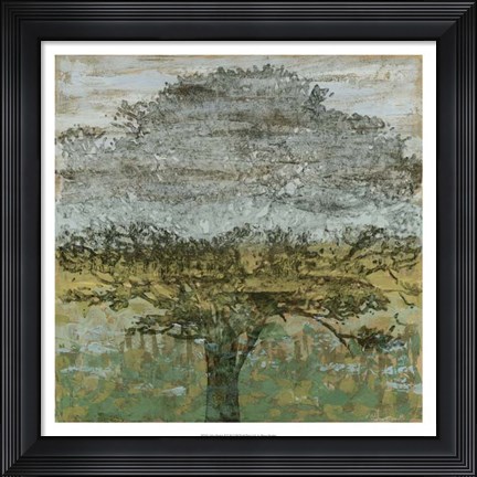 Framed Arbor Shadow II Print