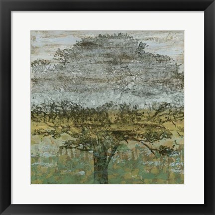 Framed Arbor Shadow II Print