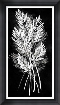 Framed Palm Leaf Fresco II Print