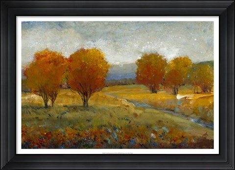 Framed Vivid Brushstrokes II Print