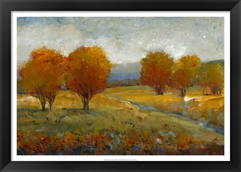 Framed Vivid Brushstrokes II Print