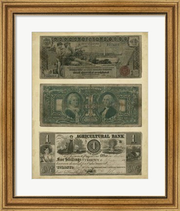 Framed Antique Currency V Print