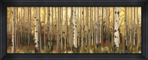 Framed Forest Light Print