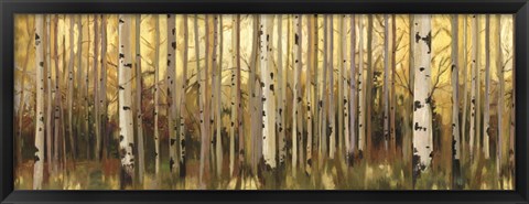 Framed Forest Light Print