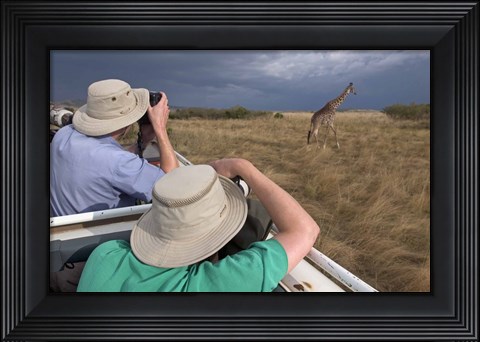 Framed Rear view of two safari photographers filming a giraffe Print