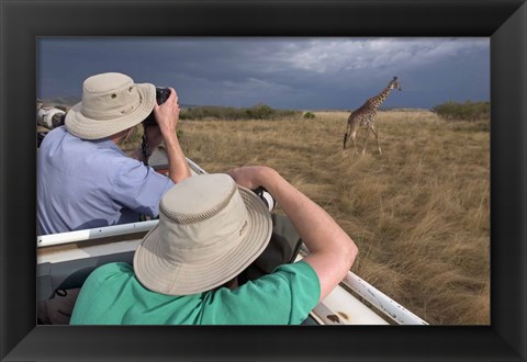 Framed Rear view of two safari photographers filming a giraffe Print