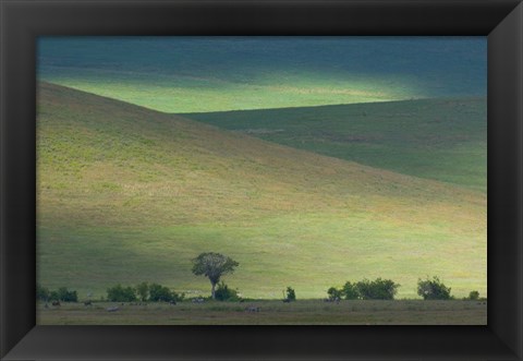 Framed Panoramic view of hill, Ngorongoro Crater, Arusha Region, Tanzania Print