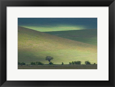 Framed Panoramic view of hill, Ngorongoro Crater, Arusha Region, Tanzania Print