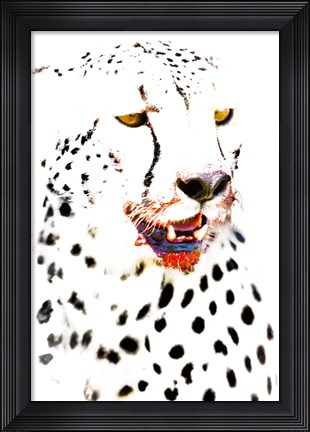 Framed Close-up of a Cheetah Print