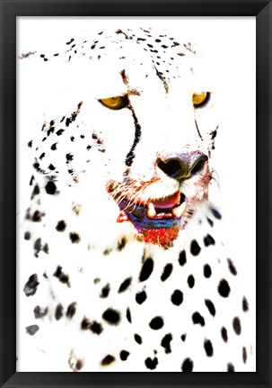 Framed Close-up of a Cheetah Print