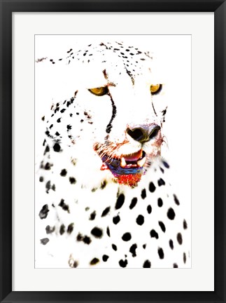 Framed Close-up of a Cheetah Print