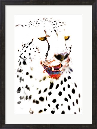 Framed Close-up of a Cheetah Print