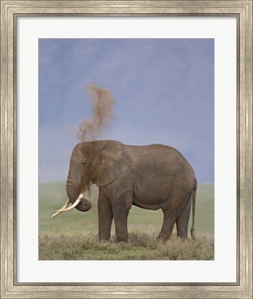 Framed African Elephant, Ngorongoro Crater, Arusha Region, Tanzania Print