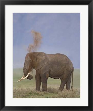 Framed African Elephant, Ngorongoro Crater, Arusha Region, Tanzania Print