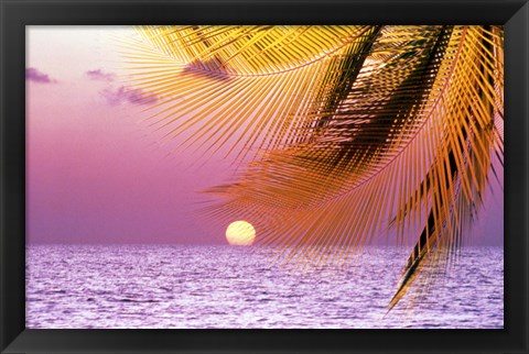 Framed Stylized tropical scene with violet sea, pink sky, setting sun and palm fronds Print