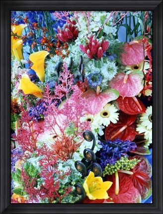 Framed Collage of multi colored flowers Print