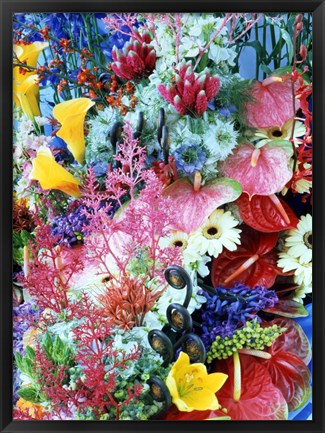 Framed Collage of multi colored flowers Print