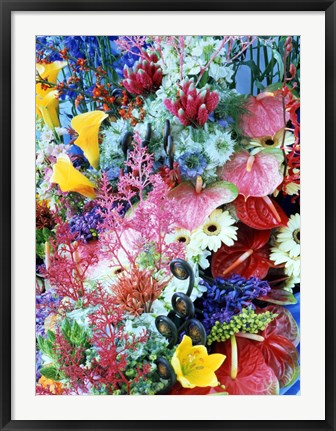 Framed Collage of multi colored flowers Print