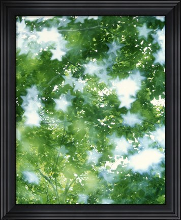 Framed Kaleidoscopic scene with white stars with green and blue Print