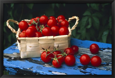 Framed Still life of cherry tomatoes in a rectangular woven basket sitting on distressed blue painted table top Print