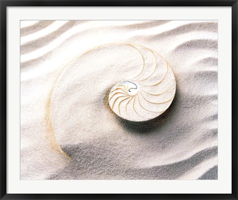 Framed Shell spiraling into wavy sand pattern Print