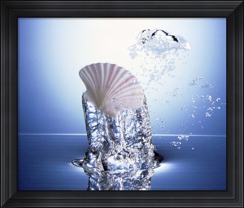 Framed White scallop shell being raised on pillar of bubbling water Print