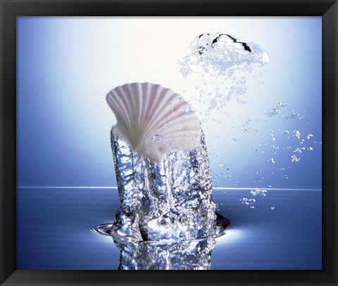 Framed White scallop shell being raised on pillar of bubbling water Print